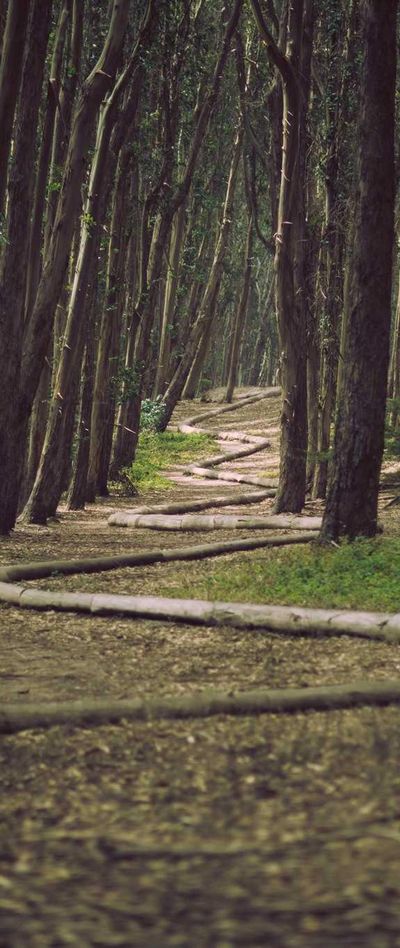 极简壁纸