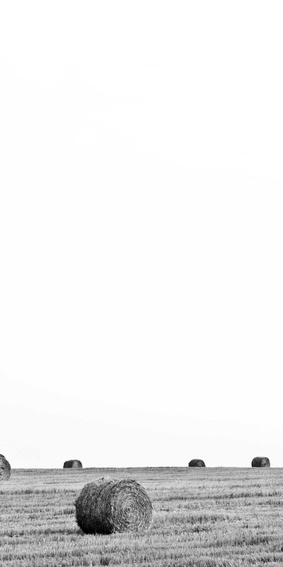 抽象壁纸