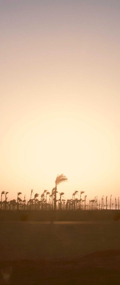 风景壁纸
