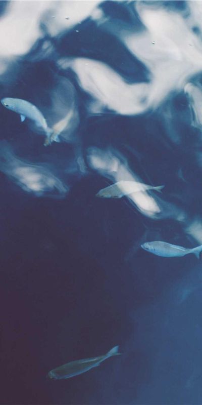 科技壁纸