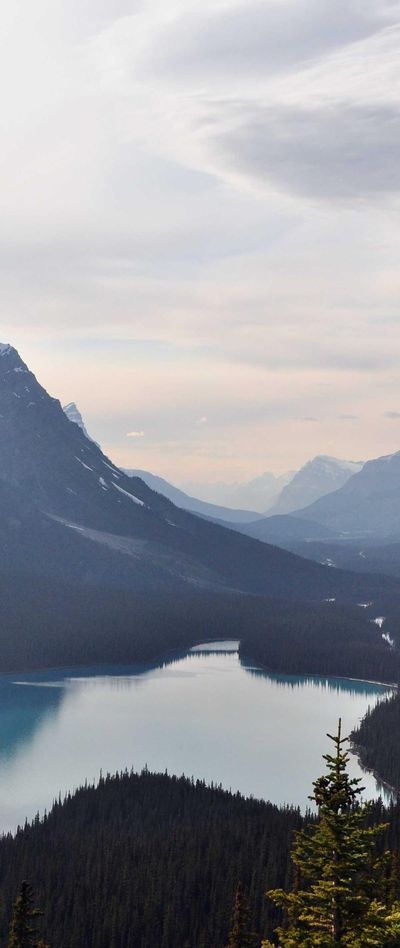 动漫壁纸