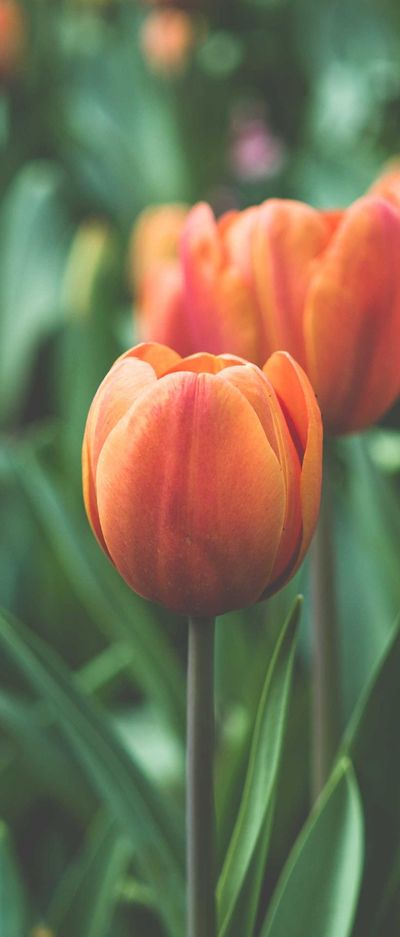 科技壁纸