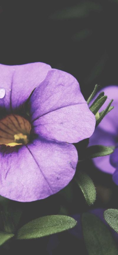 城市壁纸