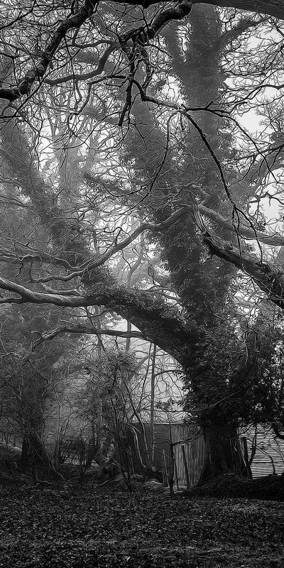 美食壁纸
