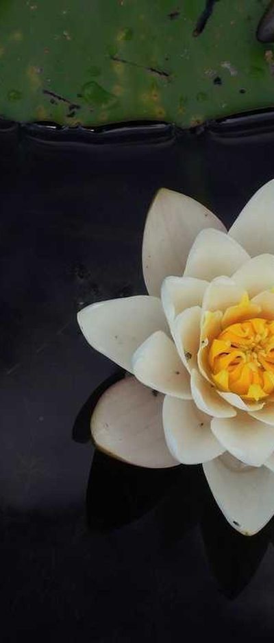动漫壁纸