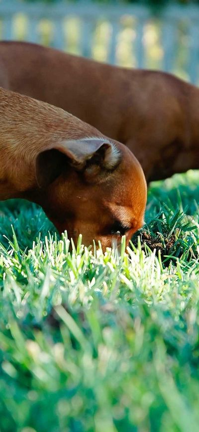 星空壁纸