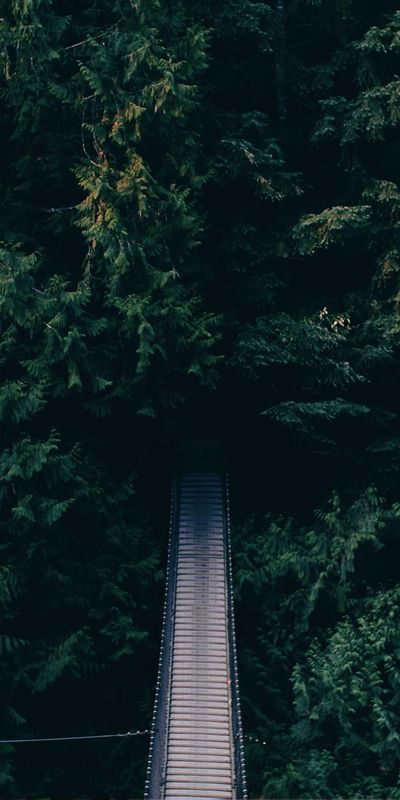 动漫壁纸
