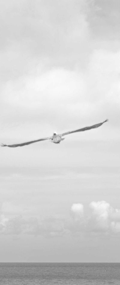 风景壁纸