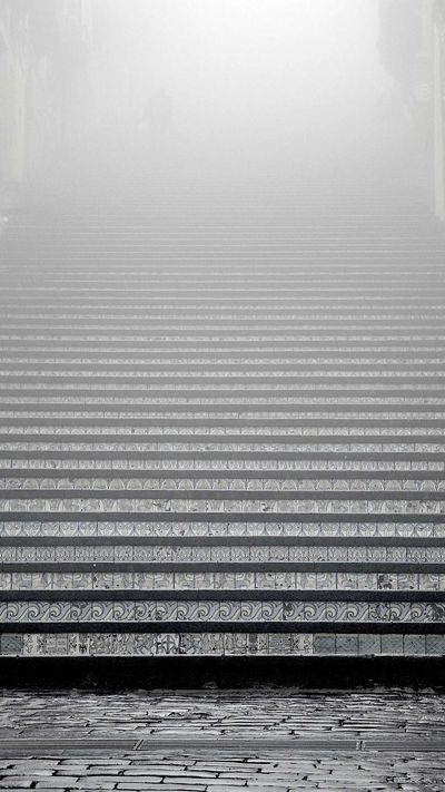 花卉壁纸