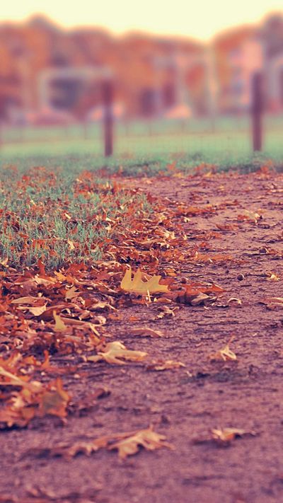 城市壁纸
