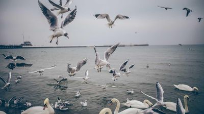 横屏壁纸