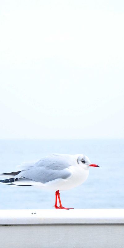 抽象壁纸