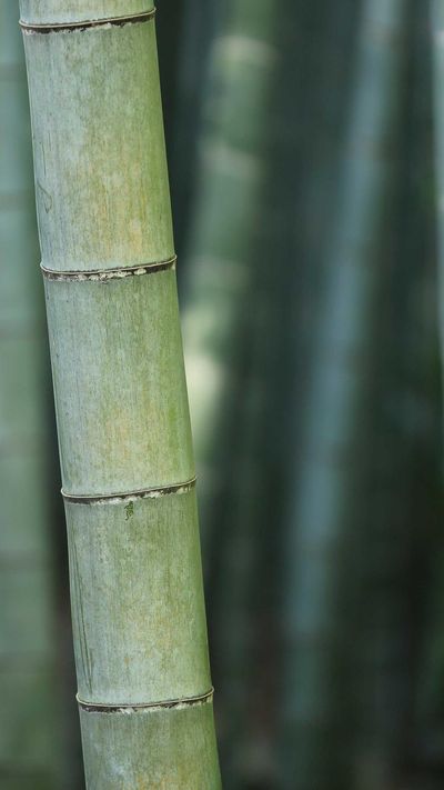 城市壁纸