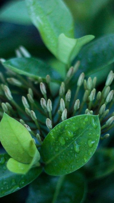 风景壁纸