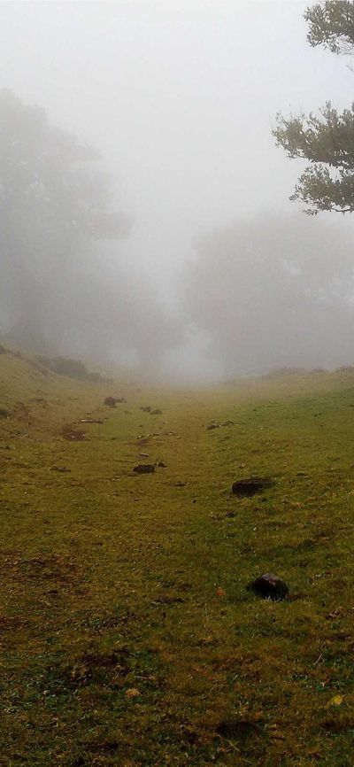 风景壁纸
